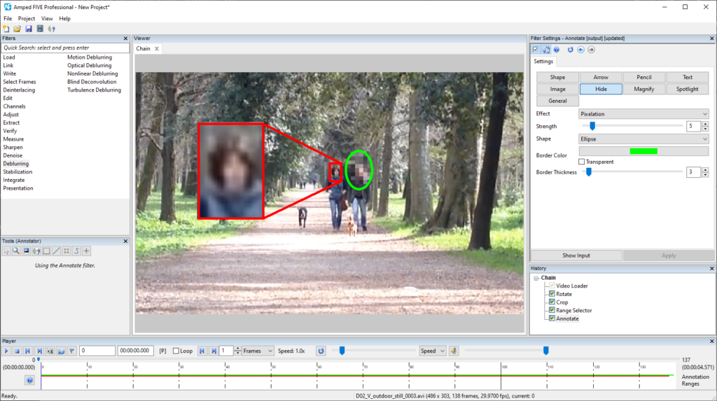 image of couple and their dogs walking in a park in amped five with their heads annotated