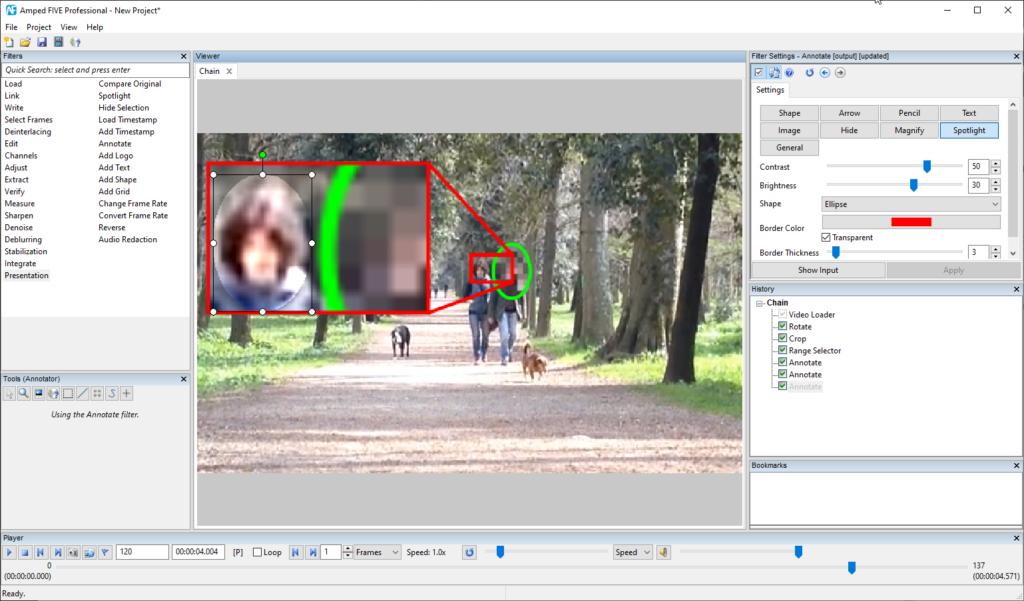 image of couple and their dogs walking in a park in amped five with their heads magnified