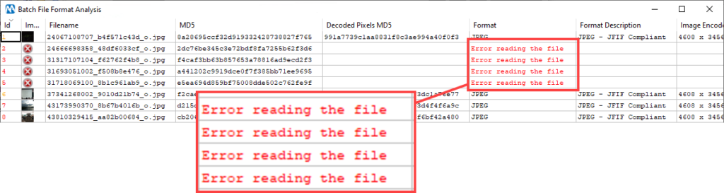batch file format analysis