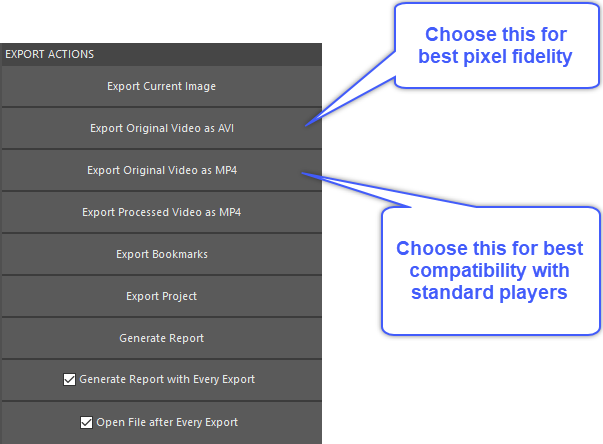export actions options