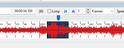 the original audio waveform will be present in front of the redacted area