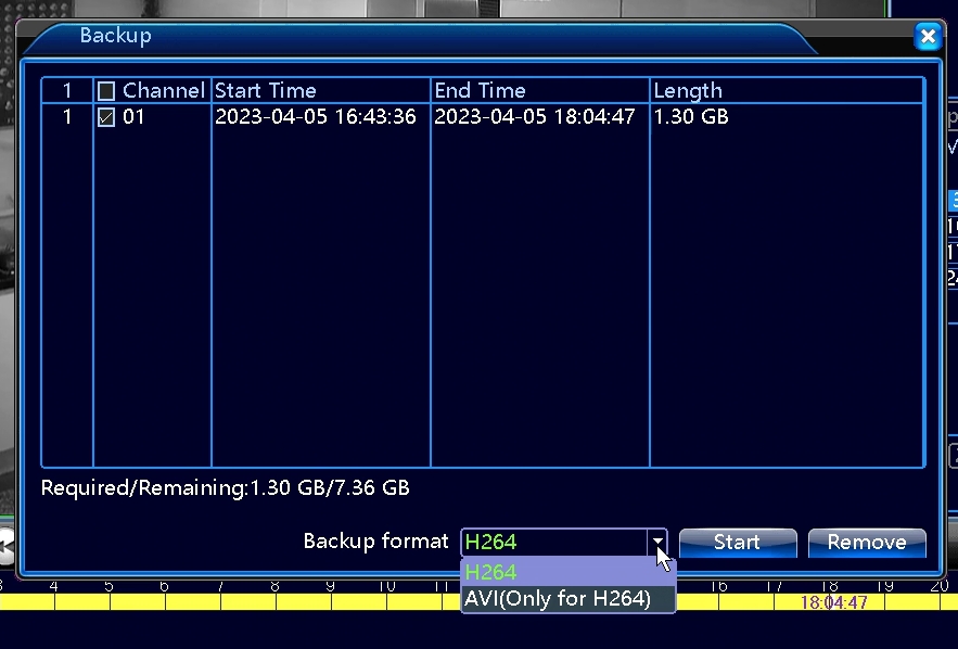 screen showing the backup menu