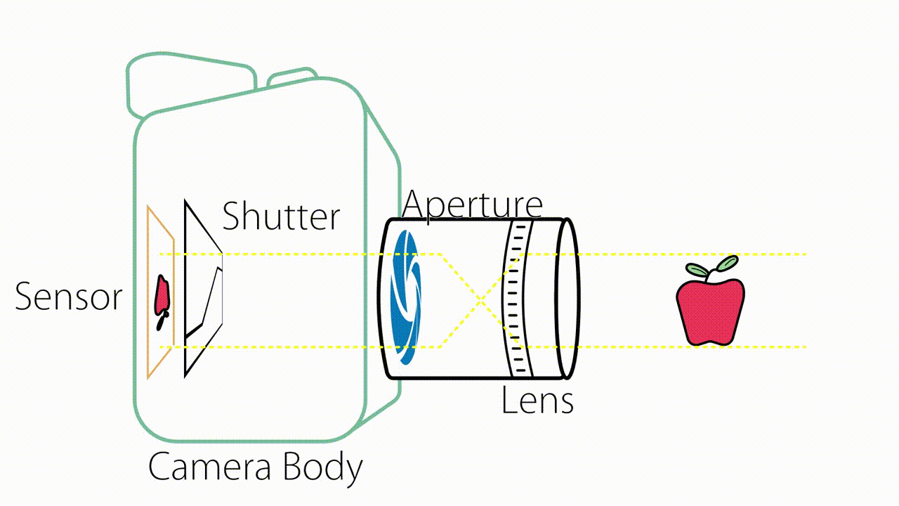 camera shutter